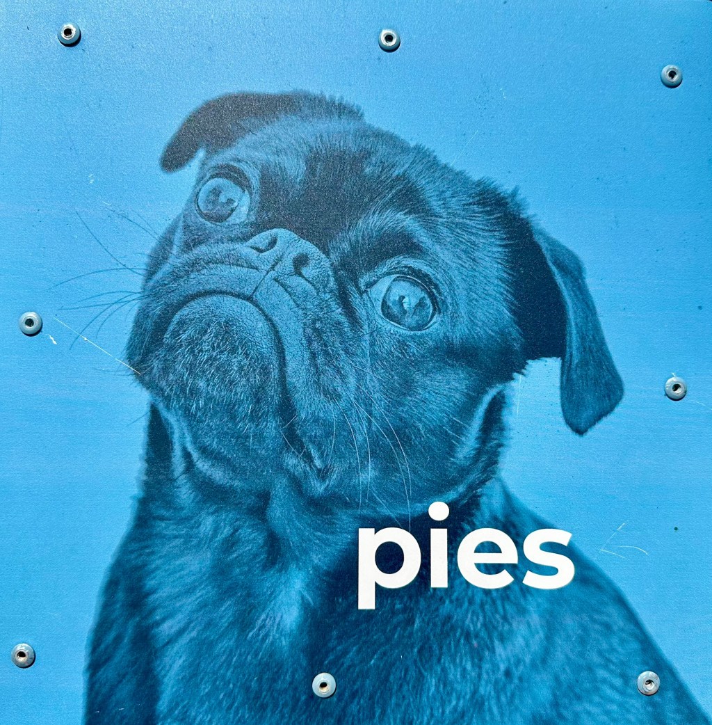 Three Polish songs about&nbsp;dogs