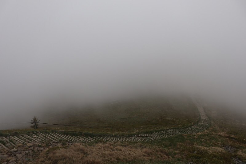 Layers of fog (mgła) in Polish&nbsp;music
