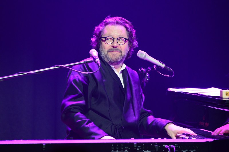 Grzegorz Turnau in concert