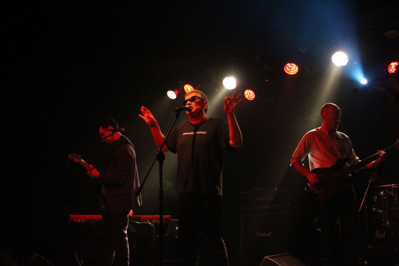 Świetliki in concert